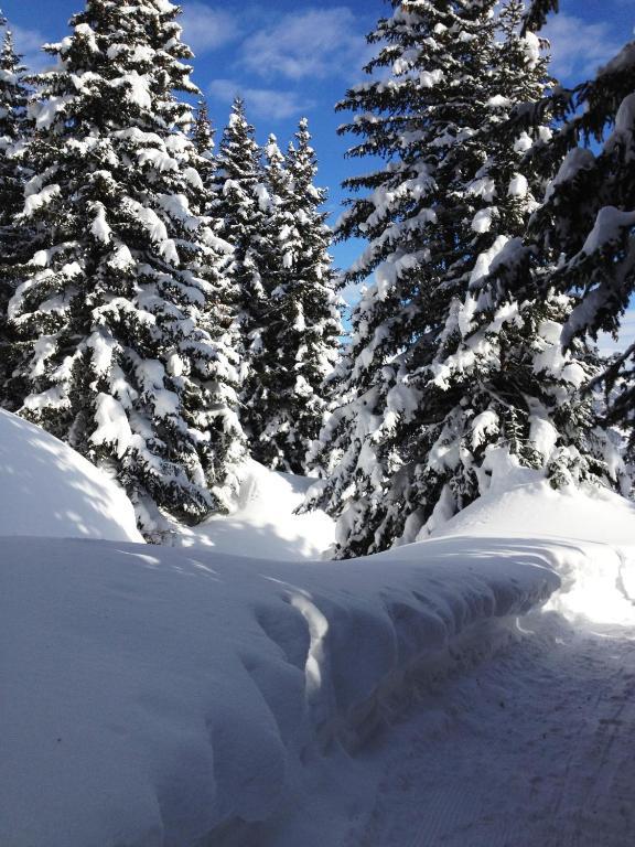 Hotel Garni Philipp Serfaus Kültér fotó